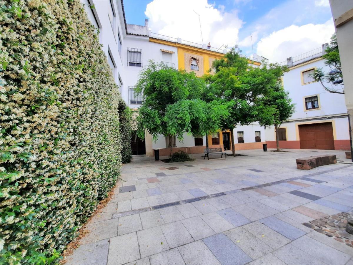 San Pedro Parking Gratis Coche Mediano Apartment กอร์โดบา ภายนอก รูปภาพ